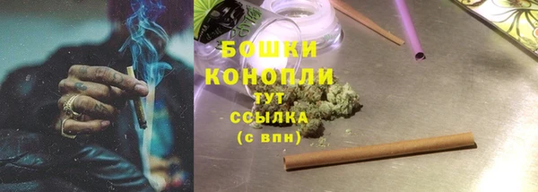 МДПВ Бронницы