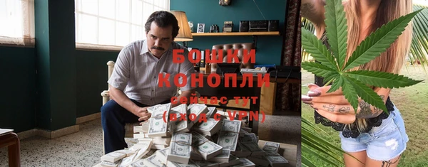 МДПВ Бронницы